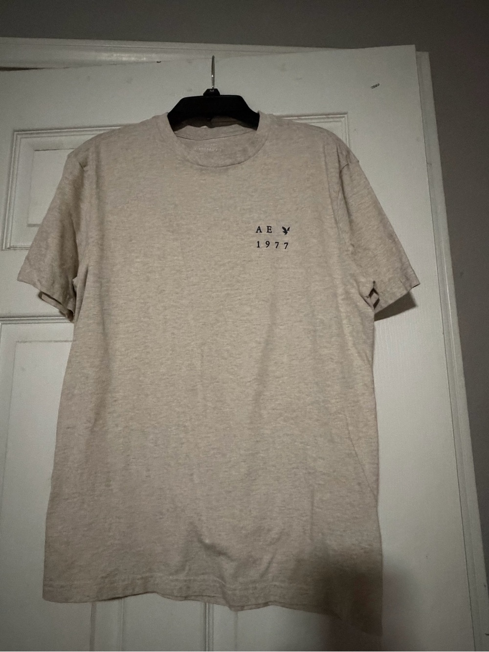 American Eagle Outfitters 1977 Crewneck T-Shirt in Light Tan